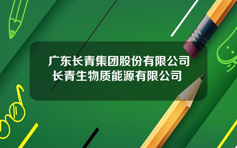 广东长青集团股份有限公司 长青生物质能源有限公司